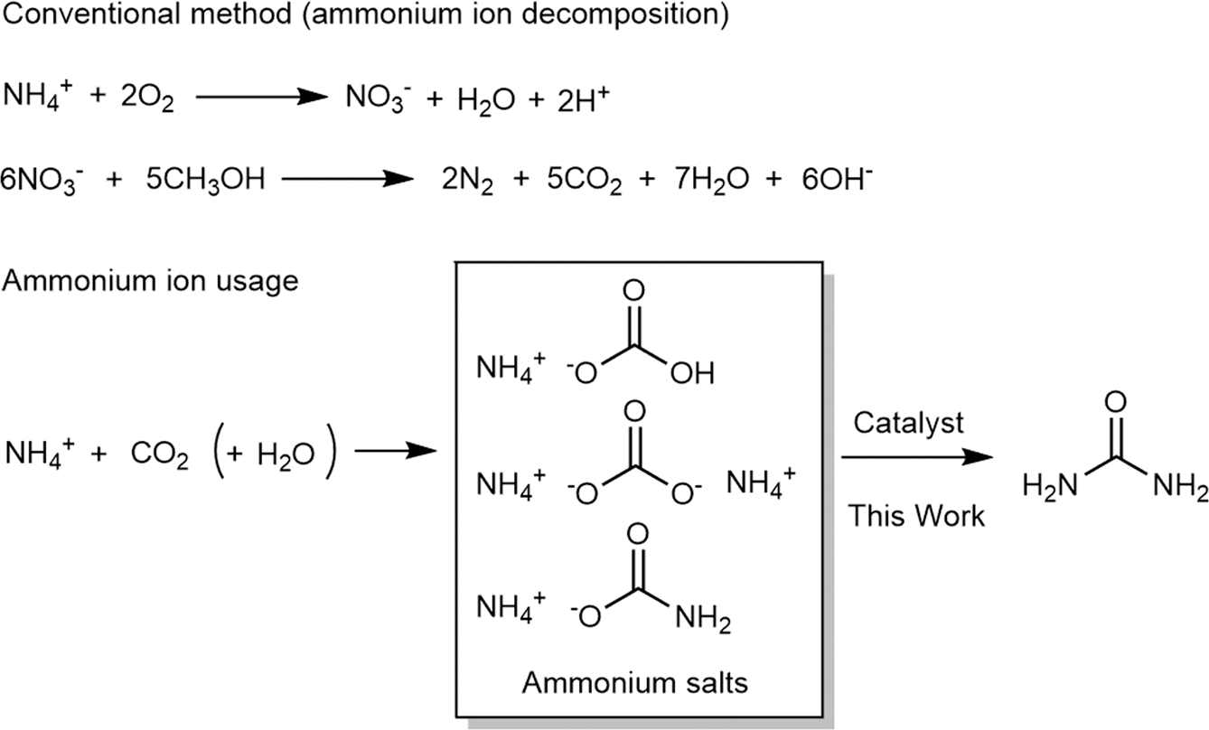 Organic bases catalyze the synthesis of urea from ammonium salts derived  from recovered environmental ammonia | Scientific Reports
