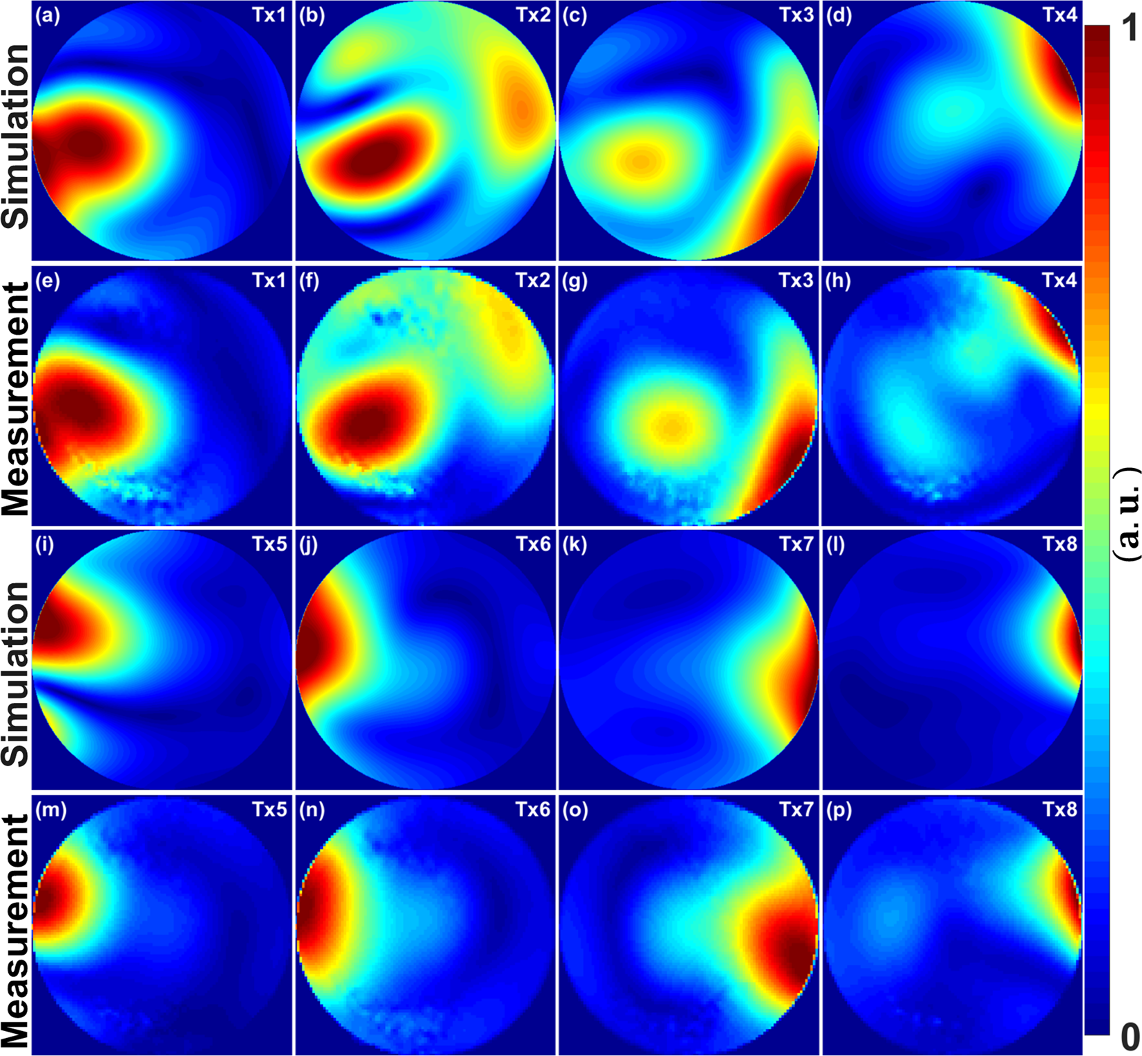 A Novel Mono Surface Antisymmetric 8tx 16rx Coil Array For Parallel Transmit Cardiac Mri In Pigs At 7t Scientific Reports