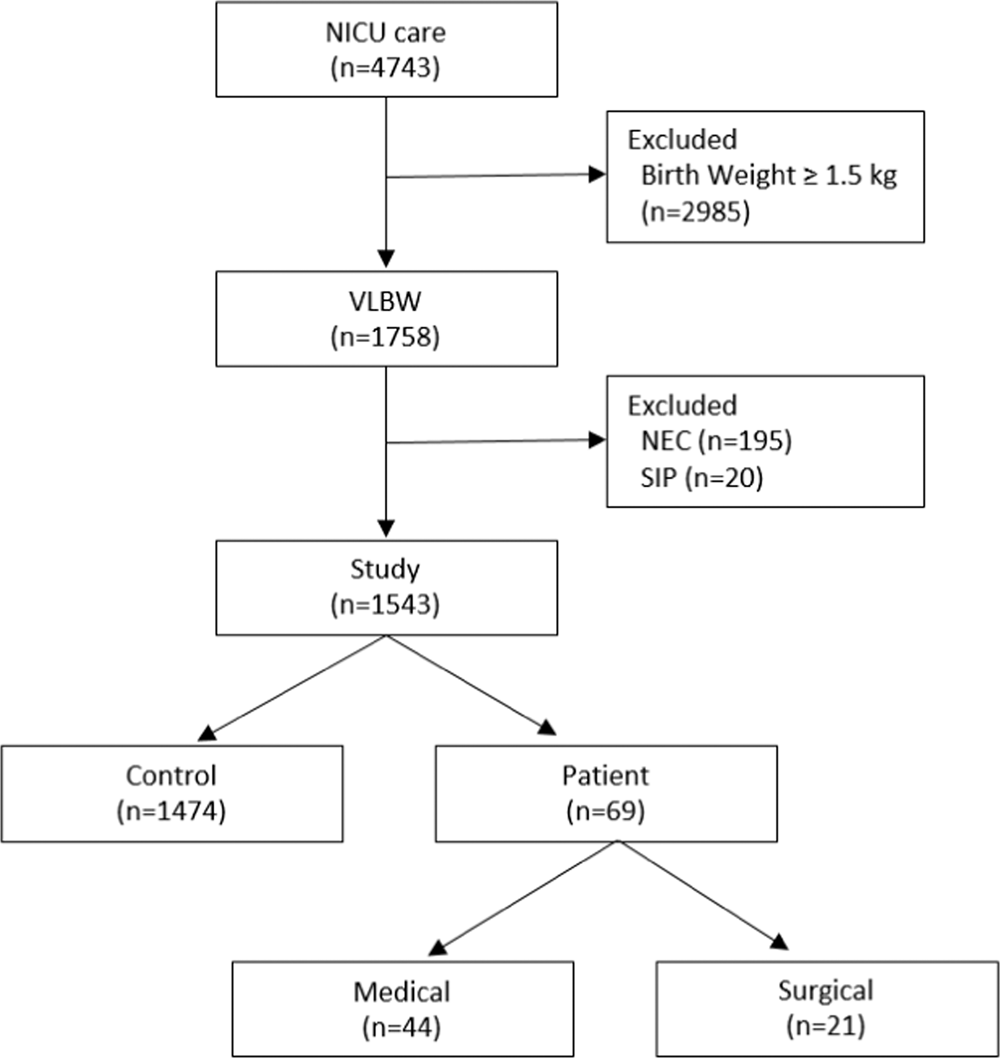 Risk Factors Of Meconium Related Ileus In Very Low Birth Weight Infants Patients Control Study Scientific Reports