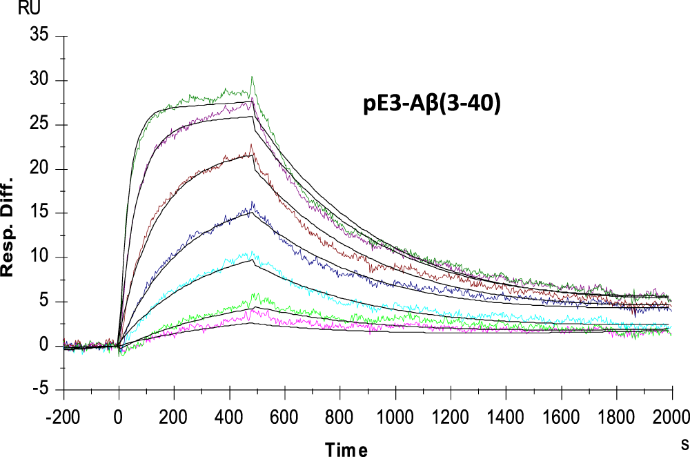 Development Of The Clinical Candidate Pbd C06 A Humanized Pglu3 Ab Specific Antibody Against Alzheimer S Disease With Reduced Complement Activation Scientific Reports