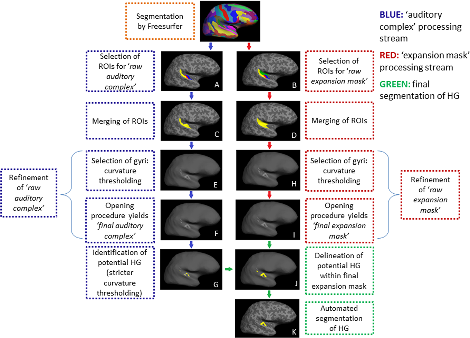 TASH Toolbox for the Automated Segmentation of Heschls gyrus Scientific Reports image