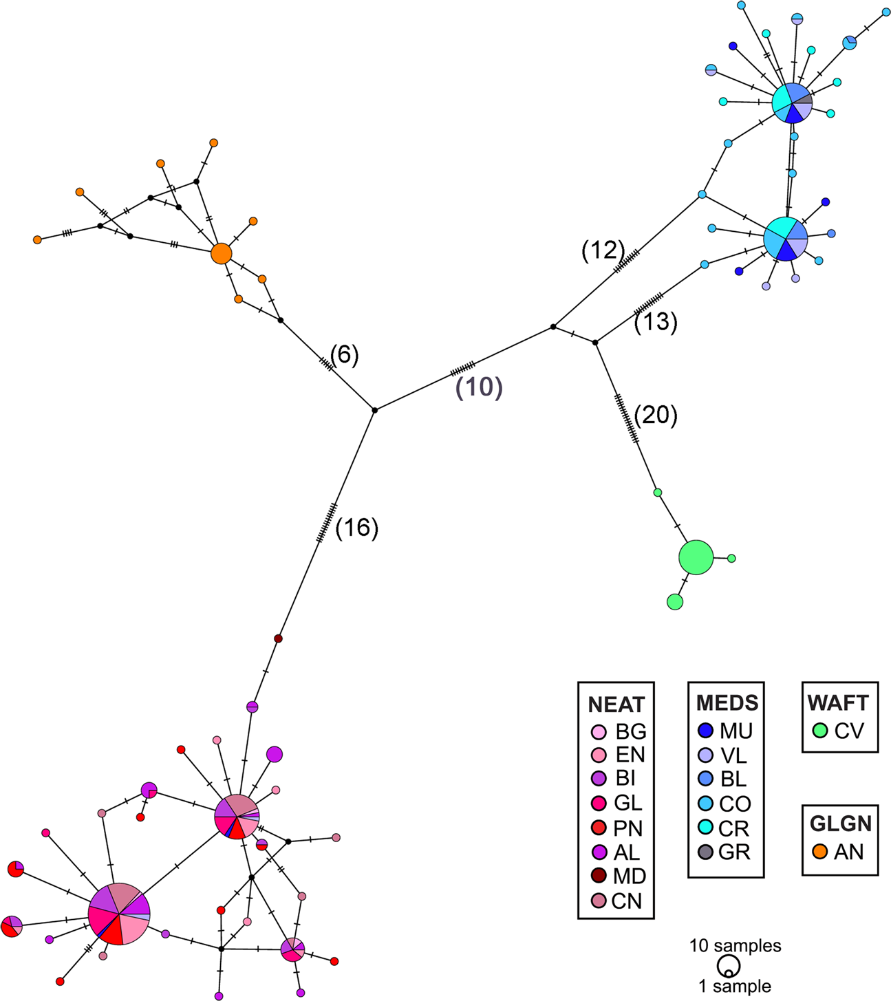 Highly Regional Population Structure Of Spondyliosoma Cantharus Depicted By Nuclear And Mitochondrial Dna Data Scientific Reports