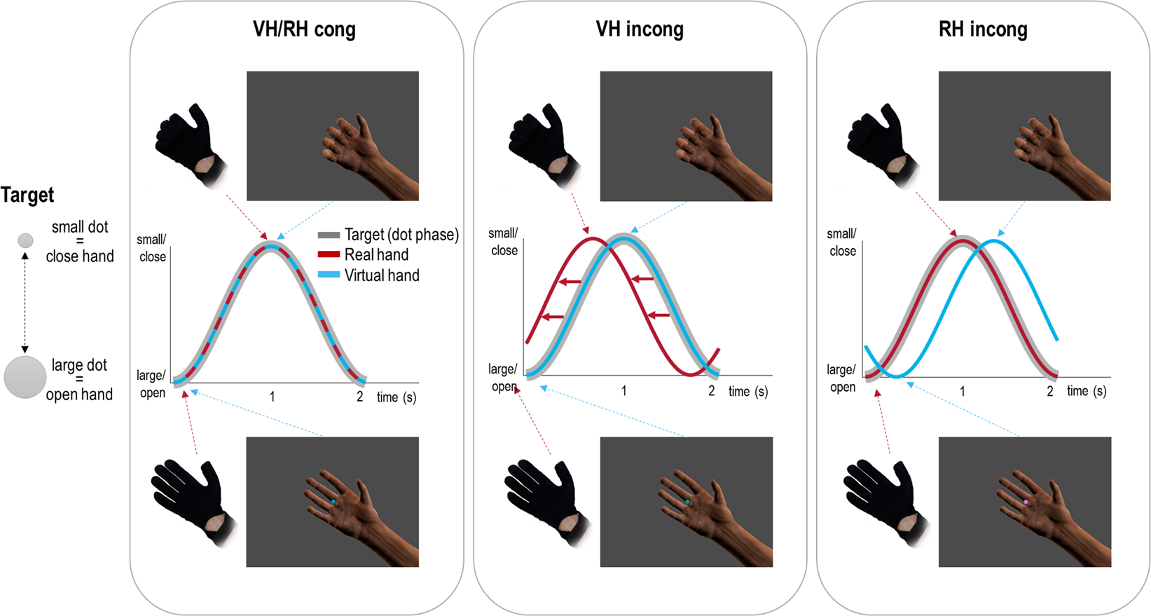 Frontiers  The Tactile-Visual Conflict Processing and Its Modulation by  Tactile-Induced Emotional States: An Event-Related Potential Study