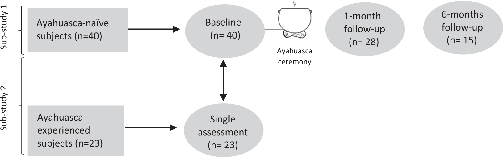 Effects of ayahuasca on mental health and quality of life in naïve users: A  longitudinal and cross-sectional study combination | Scientific Reports