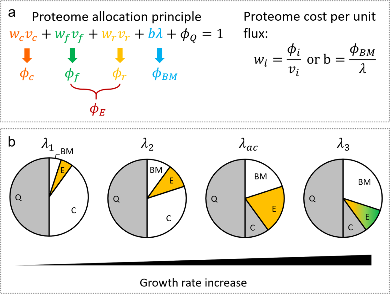 Bridging Substrate Intake Kinetics And Bacterial Growth Phenotypes With Flux Balance Analysis Incorporating Proteome Allocation Scientific Reports