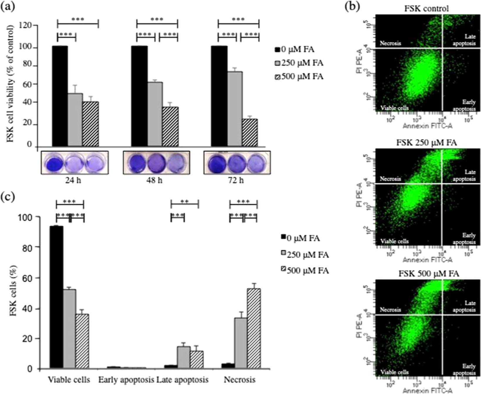 Mitochondrial dysfunction and DNA damage accompany enhanced levels of  formaldehyde in cultured primary human fibroblasts | Scientific Reports