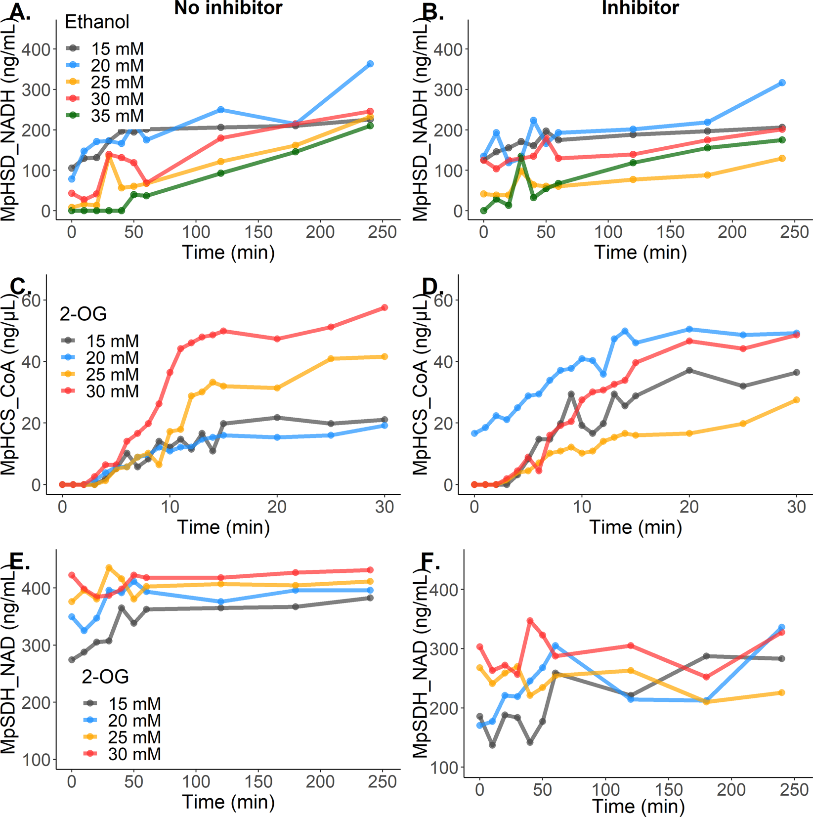 New Therapeutic Candidates for the Treatment of Malassezia pachydermatis  -Associated Infections | Scientific Reports