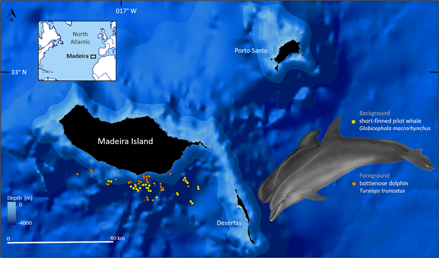 Ecophysiological Traits Of Highly Mobile Large Marine Predators Inferred From Nucleic Acid Derived Indices Scientific Reports