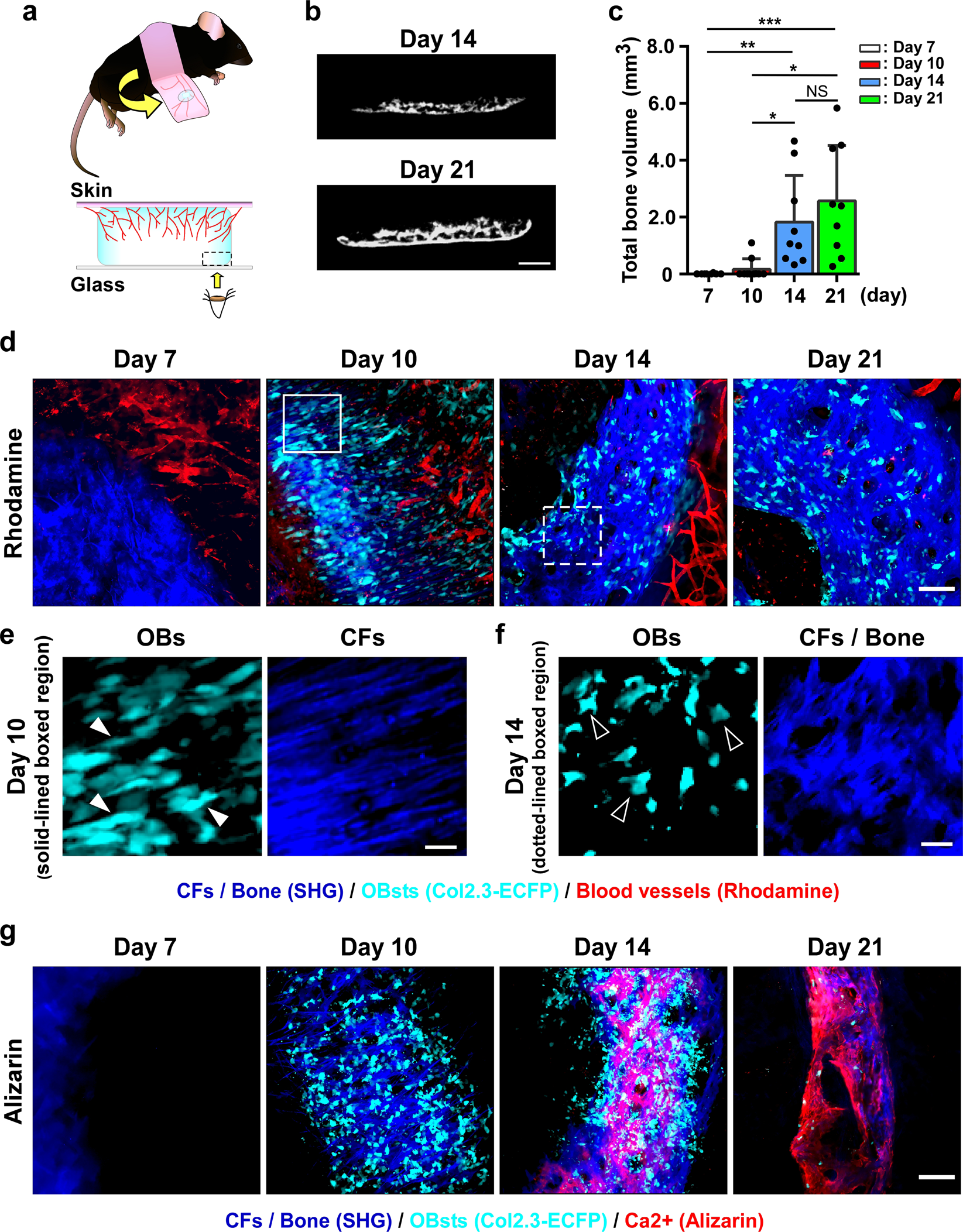 https://media.springernature.com/full/springer-static/image/art%3A10.1038%2Fs41598-020-61825-2/MediaObjects/41598_2020_61825_Fig1_HTML.png