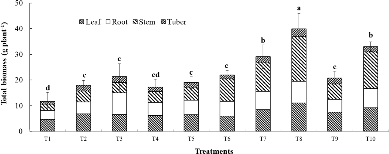 Interaction Between Phosphate Solubilizing Bacteria And Arbuscular Mycorrhizal Fungi On Growth Promotion And Tuber Inulin Content Of Helianthus Tuberosus L Scientific Reports