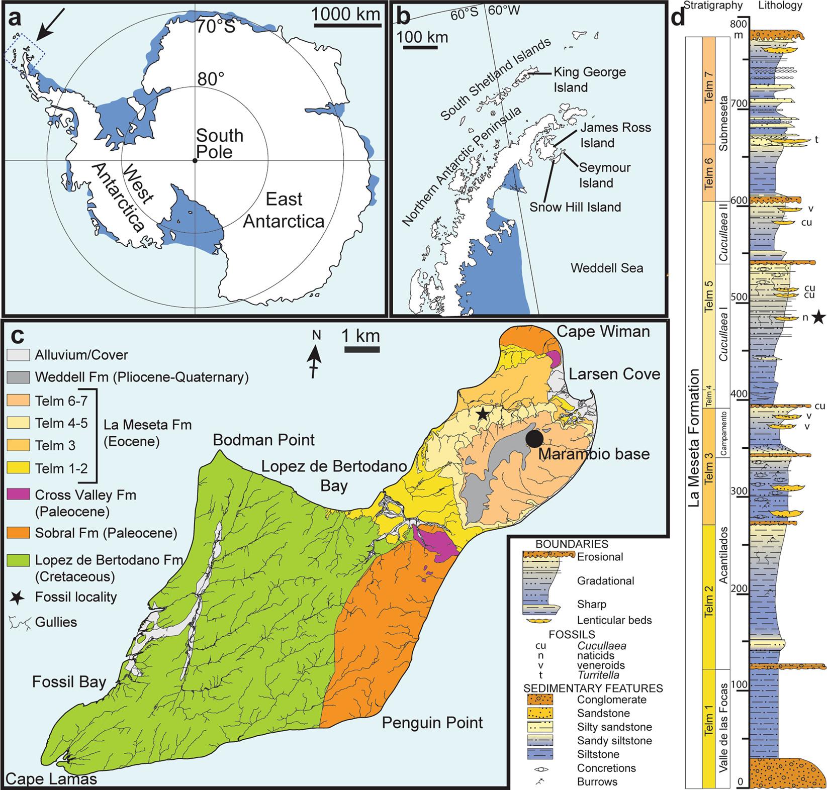 First fossil frog from Antarctica: implications for Eocene high ...