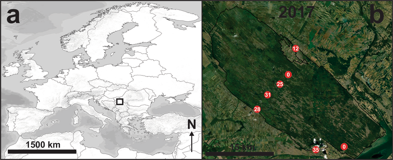 Vojvodina, Serbia  Satellite Imagery and Art - Satellite Art Institute