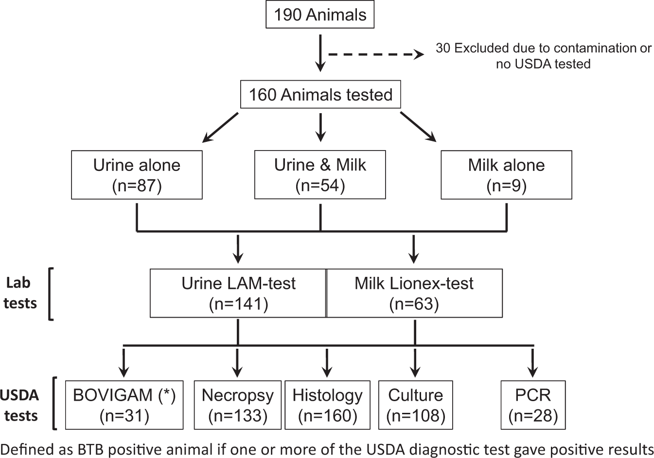 Accuracy of Two Point-of-Care Tests for Rapid Diagnosis of Bovine Tuberculosis at Animal Level using Non-Invasive Specimens | Scientific Reports Accuracy of Two Point-of-Care Tests for Rapid Diagnosis of Bovine Tuberculosis at Animal Level using Non-Invasive Specimens | Scientific Reports