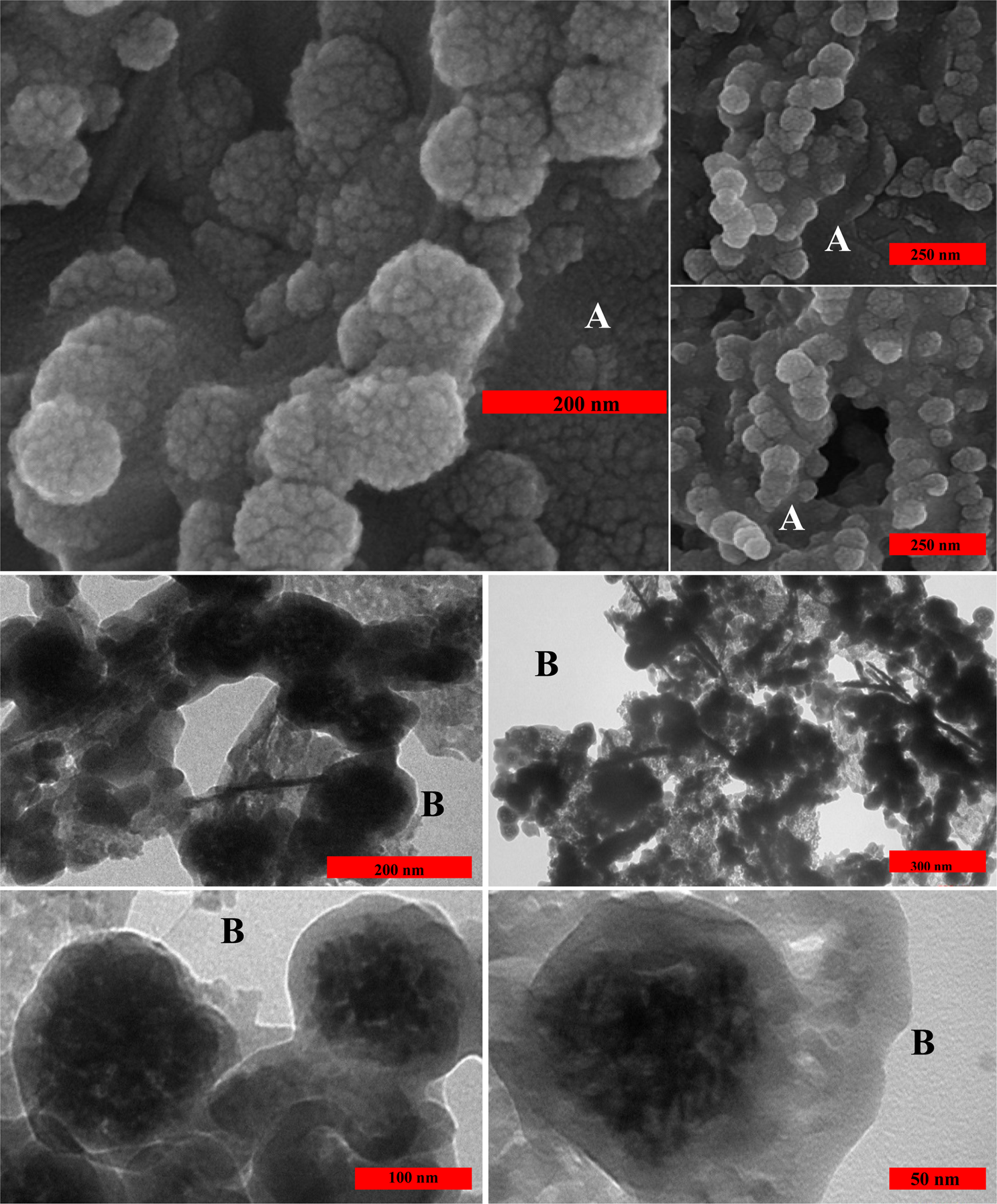 Combined chemo-magnetic field-photothermal breast cancer therapy based on  porous magnetite nanospheres | Scientific Reports