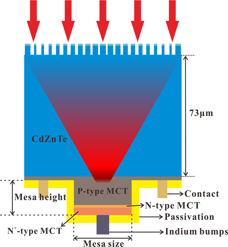 Infrared detectors, explained by RP; photodiodes, photoconductive detectors,  mercury cadmium selenide, extrinsic detectors
