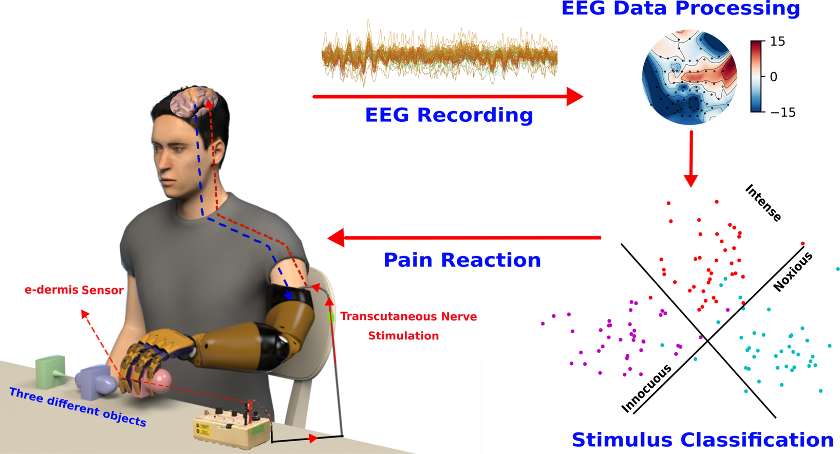 Decoding of Pain Perception using EEG Signals for a Real-Time Reflex System  in Prostheses: A Case Study | Scientific Reports