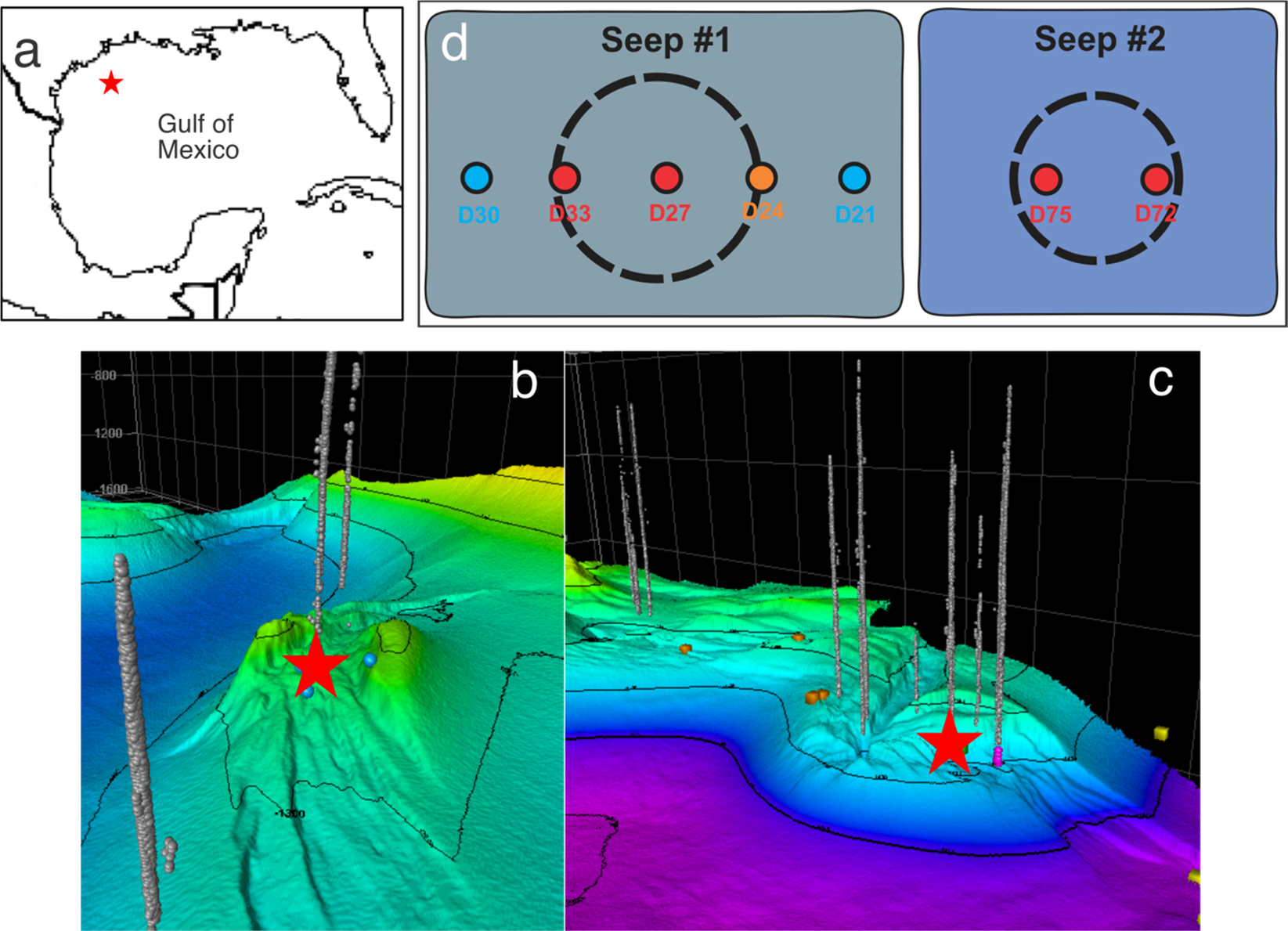 Frontiers Decoding the microbial universe with metagenomics: a brief insight