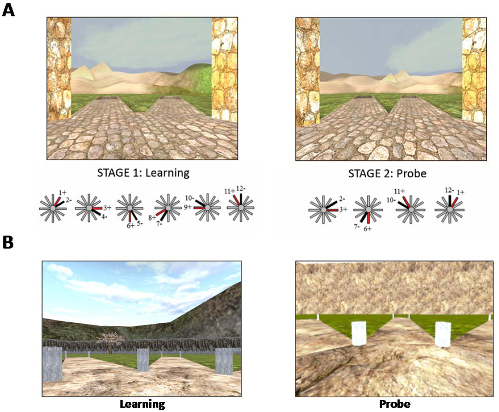 Habitual use of GPS negatively impacts spatial memory during self-guided  navigation | Scientific Reports