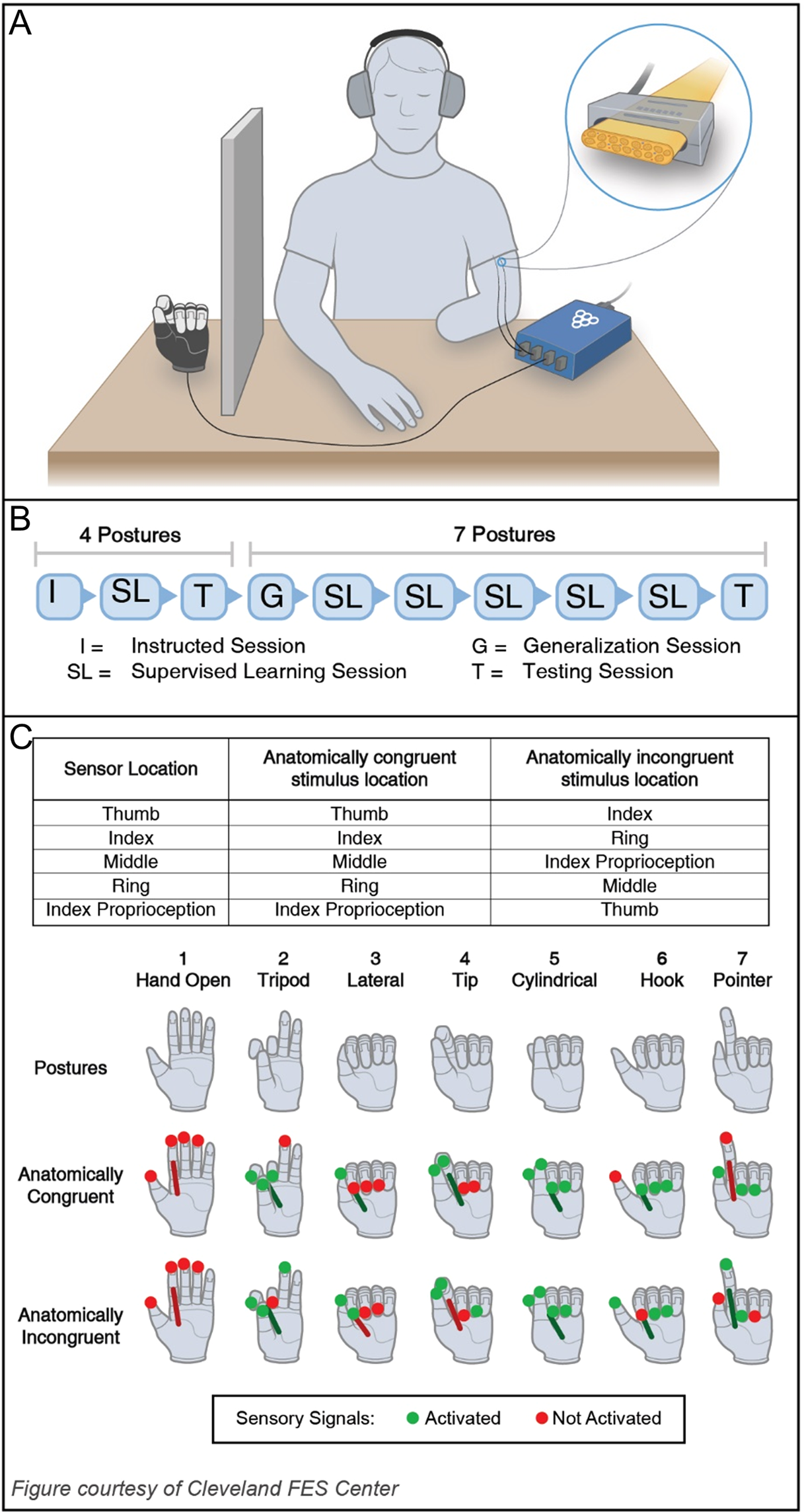 Combination of Simultaneous Artificial Sensory Percepts to Identify  Prosthetic Hand Postures: A Case Study | Scientific Reports