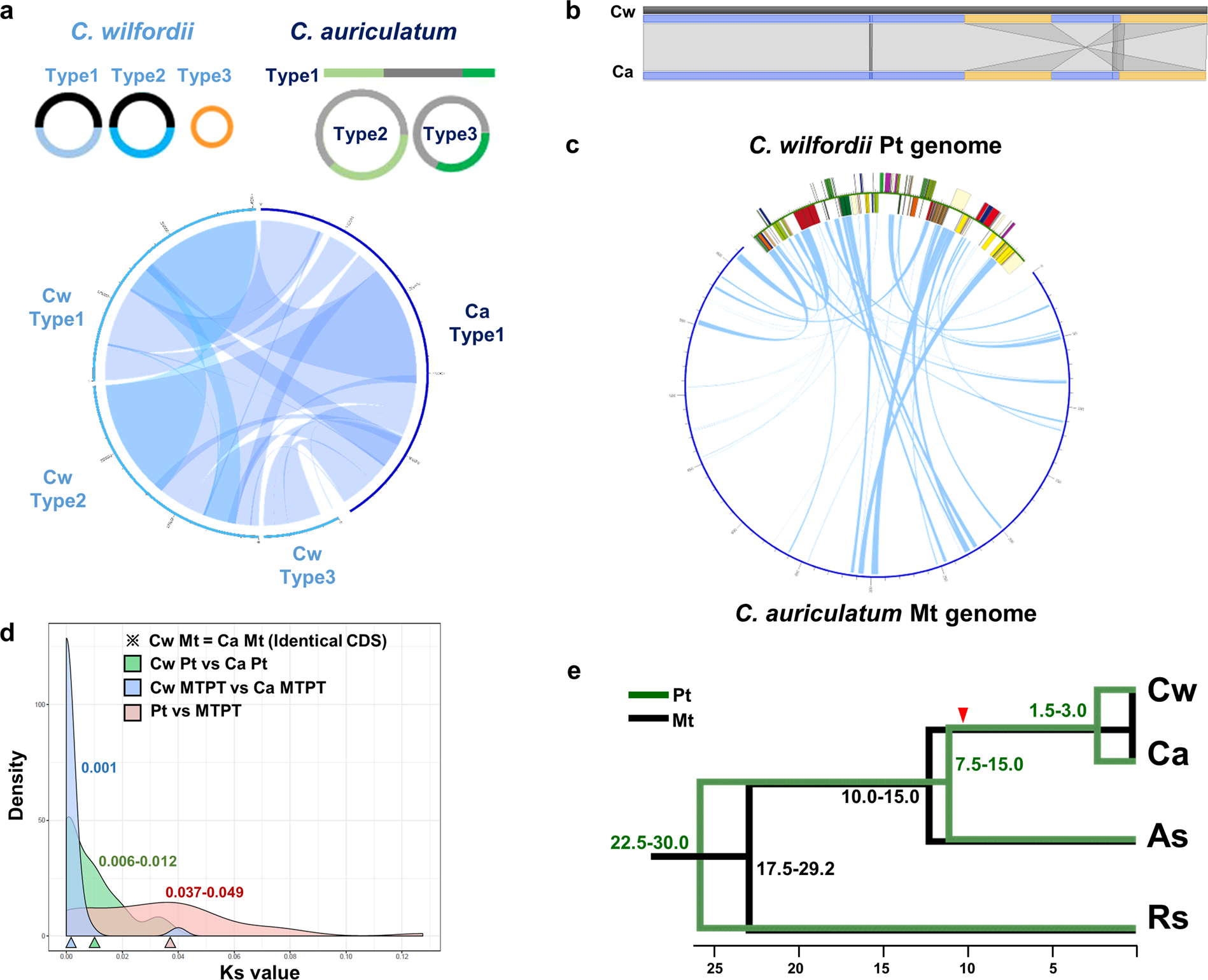 Best Plastid Farm 2021 Mitochondrial plastid DNA can cause DNA barcoding paradox in Best Plastid Farm 2021 Mitochondrial plastid DNA can cause DNA barcoding paradox in