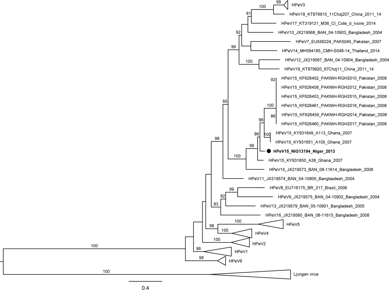 Identification And Molecular Characterization Of The First Complete Genome Sequence Of Human Parechovirus Type 15 Scientific Reports