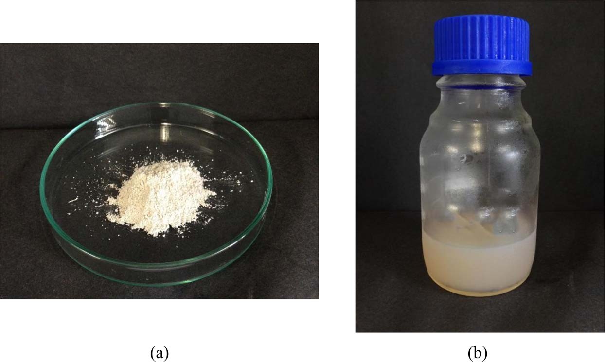 Effect Of Cellulose Nanocrystals Extracted From Oil Palm Empty Fruit Bunch As Green Admixture For Mortar Scientific Reports