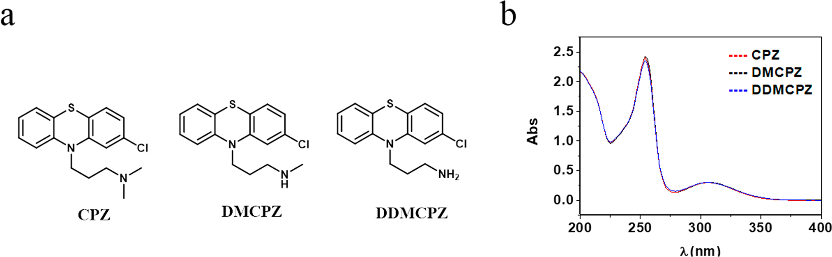 Photomutagenicity Of Chlorpromazine And Its N Demethylated Metabolites Assessed By Ngs Scientific Reports