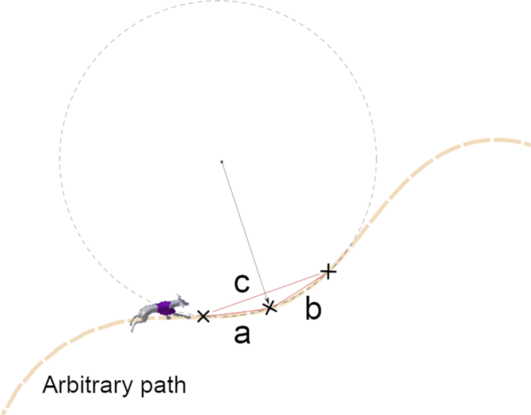 Greyhound Racing Ideal Trajectory Path Generation For Straight To Bend Based On Jerk Rate Minimization Scientific Reports