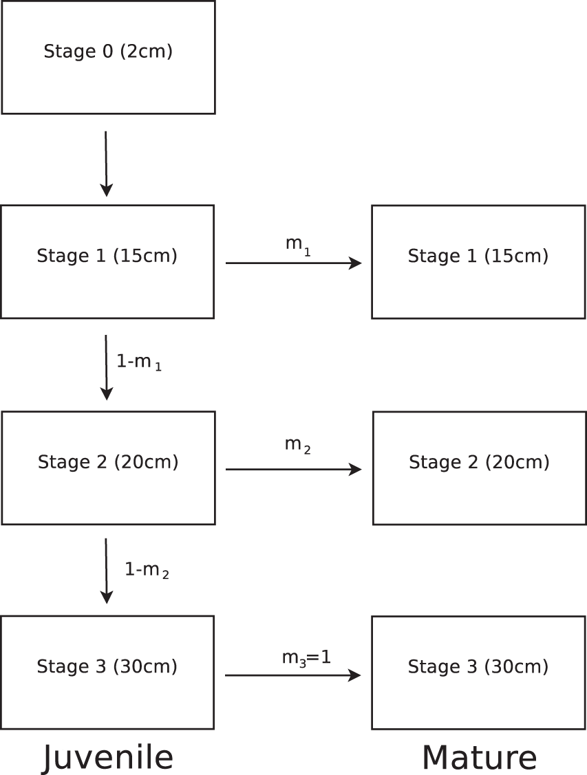 Using Mathematical Modelling To Investigate The Adaptive Divergence Of Whitefish In Fennoscandia Scientific Reports Using Mathematical Modelling To Investigate The Adaptive Divergence Of Whitefish In Fennoscandia Scientific Reports