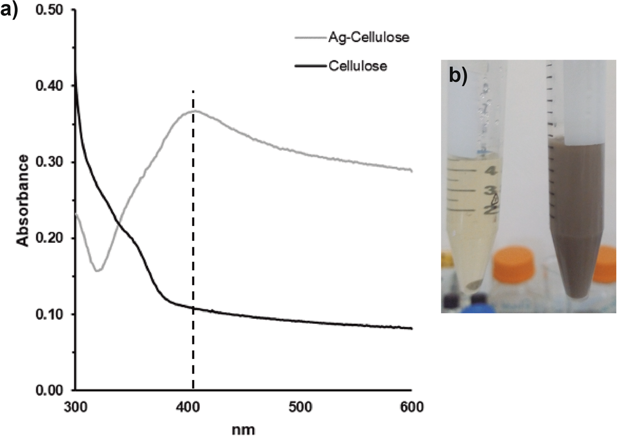 Antimicrobial Activity Of A Silver Microfibrillated Cellulose Biocomposite Against Susceptible And Resistant Bacteria Scientific Reports