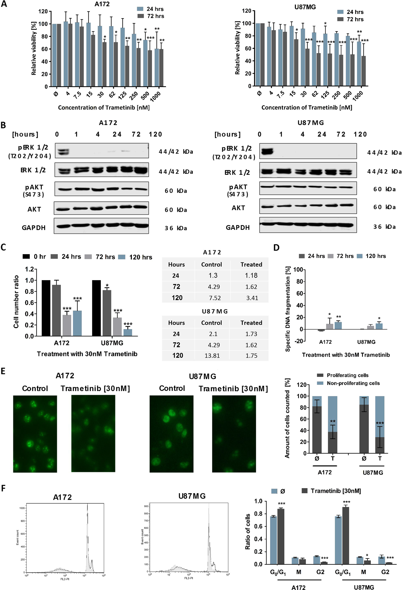 The Limitations Of Targeting Mek Signalling In Glioblastoma Therapy Scientific Reports The Limitations Of Targeting Mek Signalling In Glioblastoma Therapy Scientific Reports