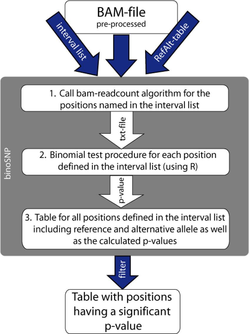 Detection of low-frequency resistance-mediating SNPs in next-generation  sequencing data of Mycobacterium tuberculosis complex strains with binoSNP  | Scientific Reports