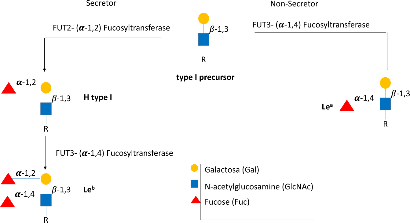 Sero Epidemiological Study Of The Rotavirus Vp8 Protein From Different P Genotypes In Valencia Spain Scientific Reports