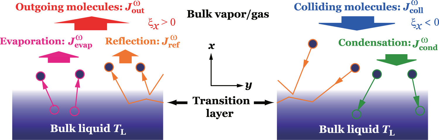 Evaporation Coefficient And Condensation Coefficient Of Vapor Under High Gas Pressure Conditions Scientific Reports