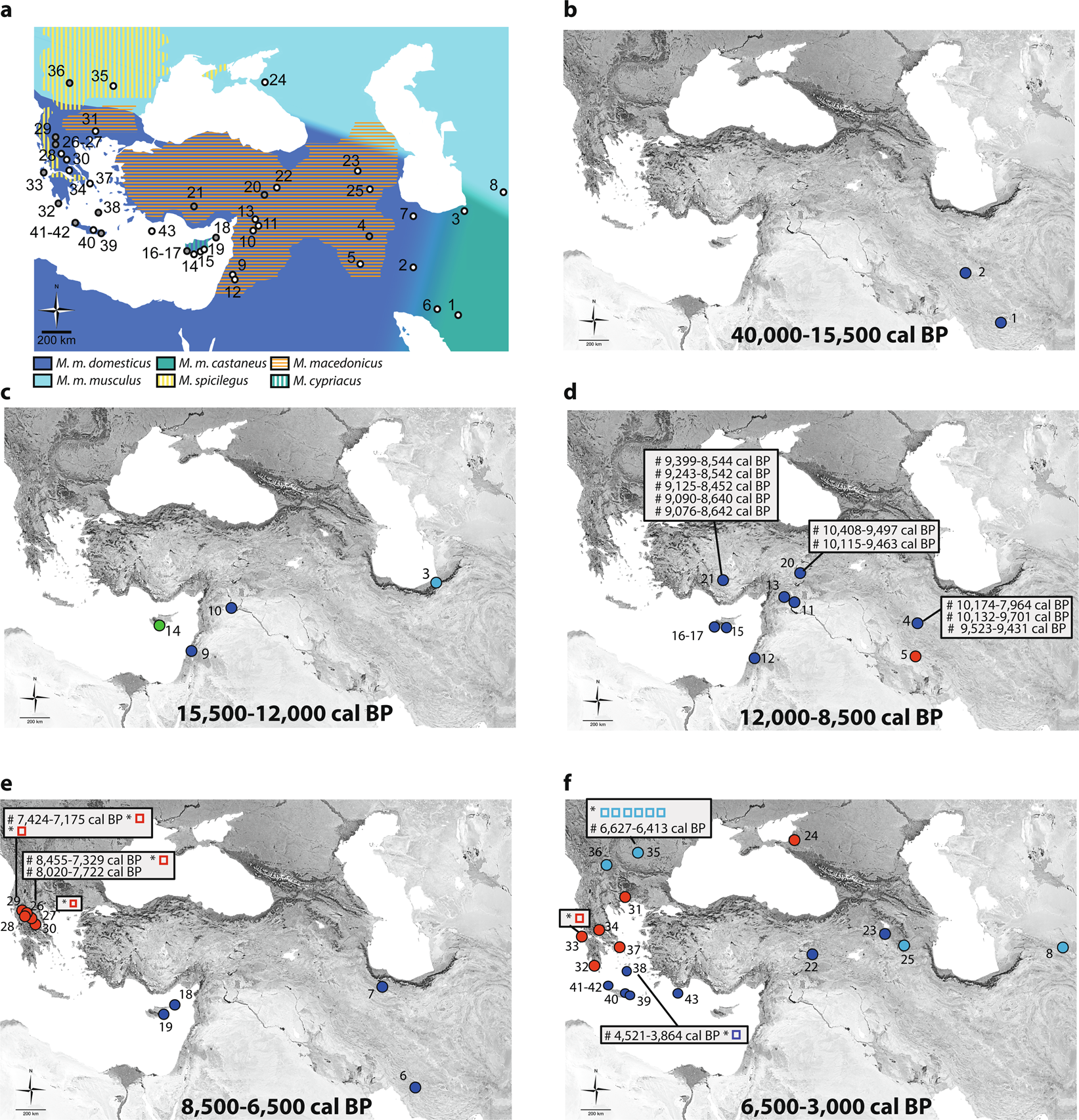 Tracking the Near Eastern origins and European dispersal of the western  house mouse | Scientific Reports