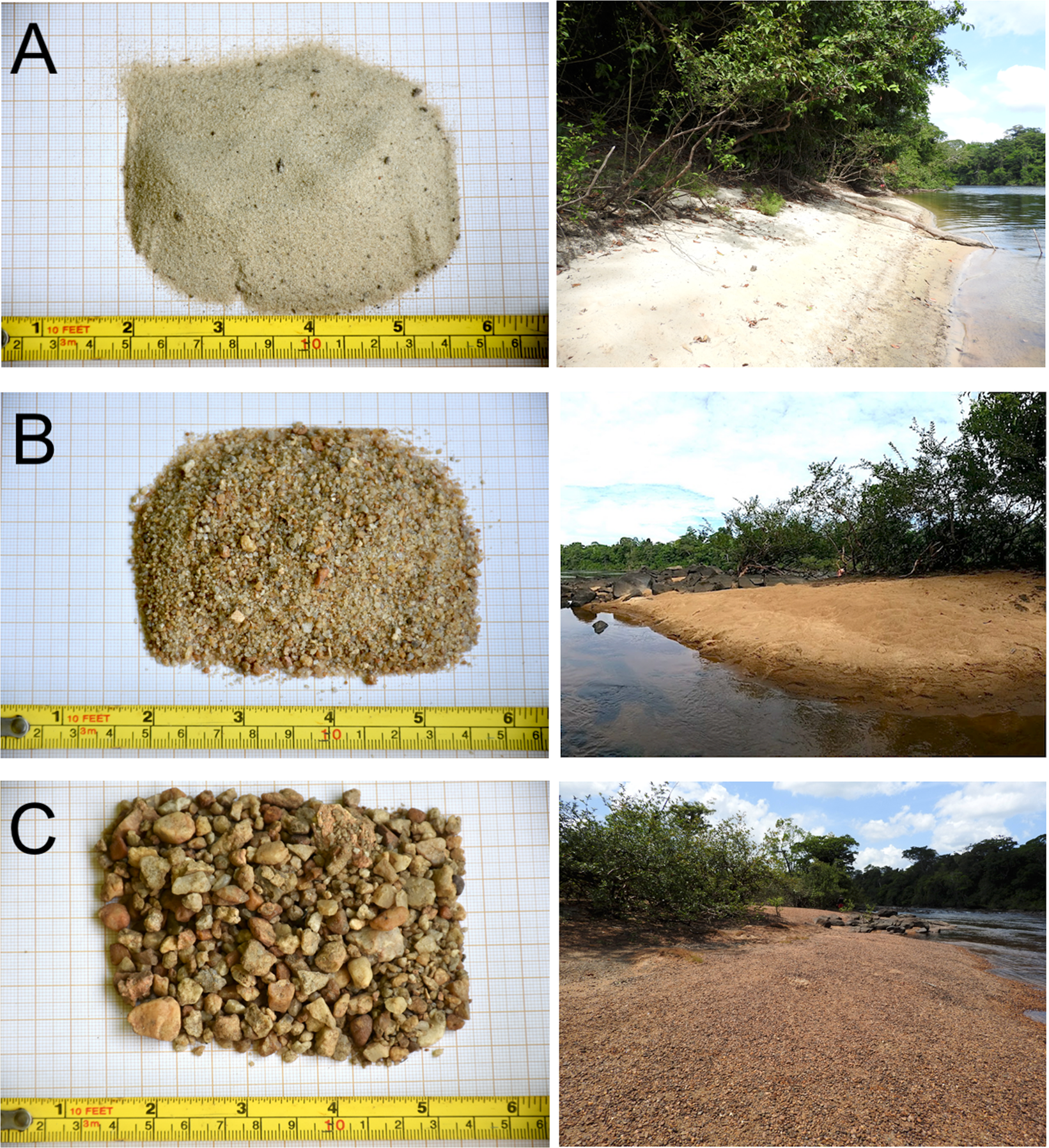 Substrate influences human removal of freshwater turtle nests in the  eastern Brazilian Amazon | Scientific Reports