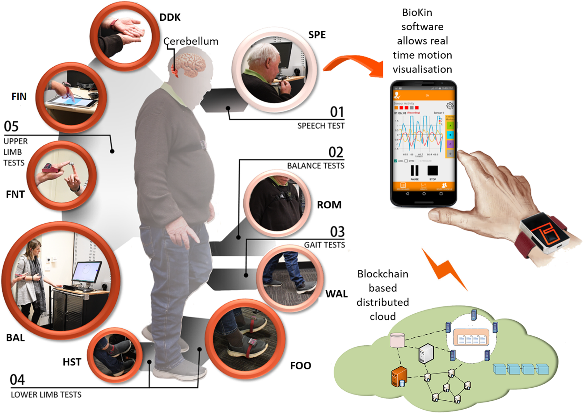 Frontiers | Assessment and Rating of Motor Cerebellar Ataxias With the  Kinect v2 Depth Sensor: Extending Our Appraisal