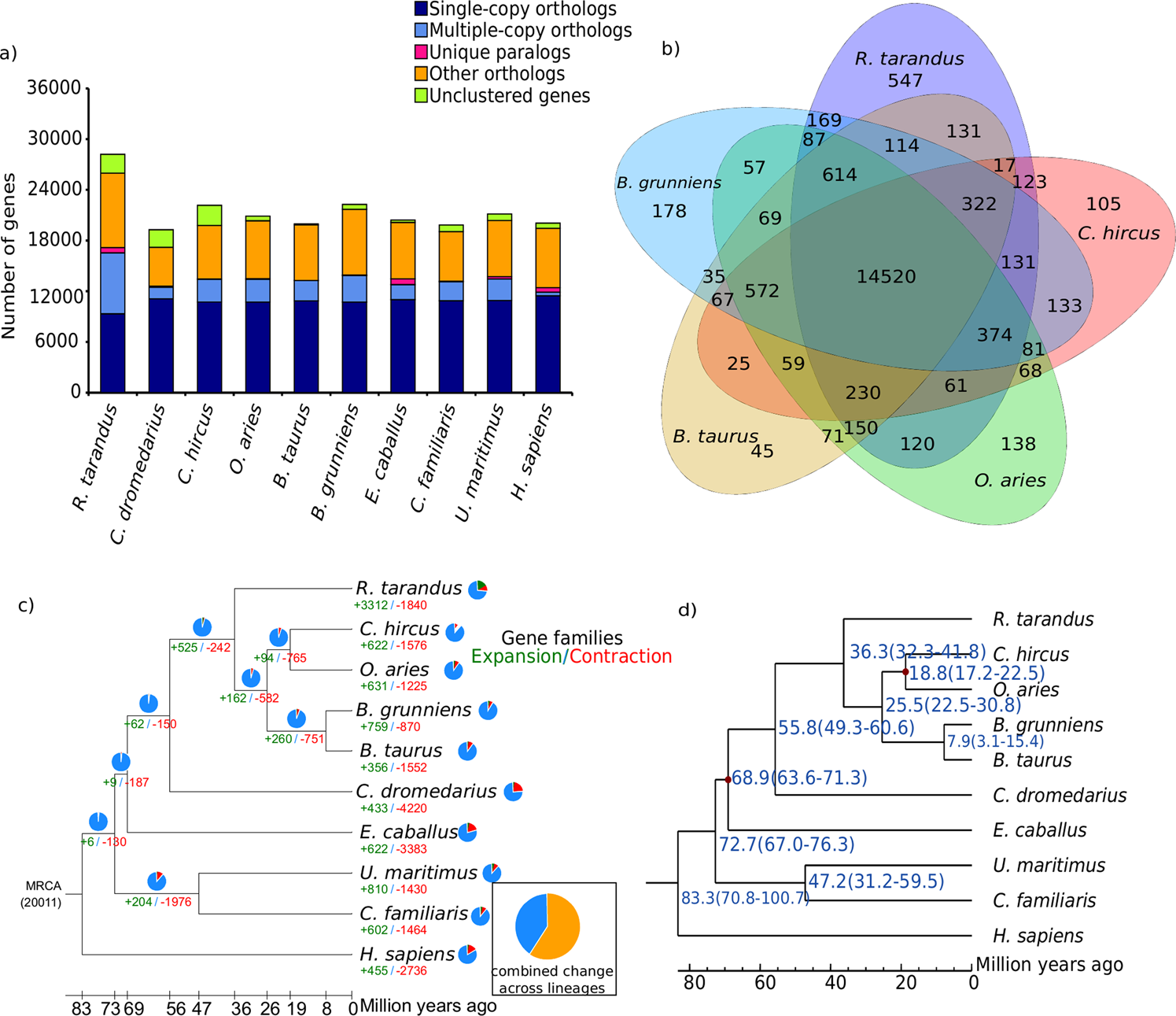 Genome Sequence And Comparative Analysis Of Reindeer Rangifer Tarandus In Northern Eurasia Scientific Reports