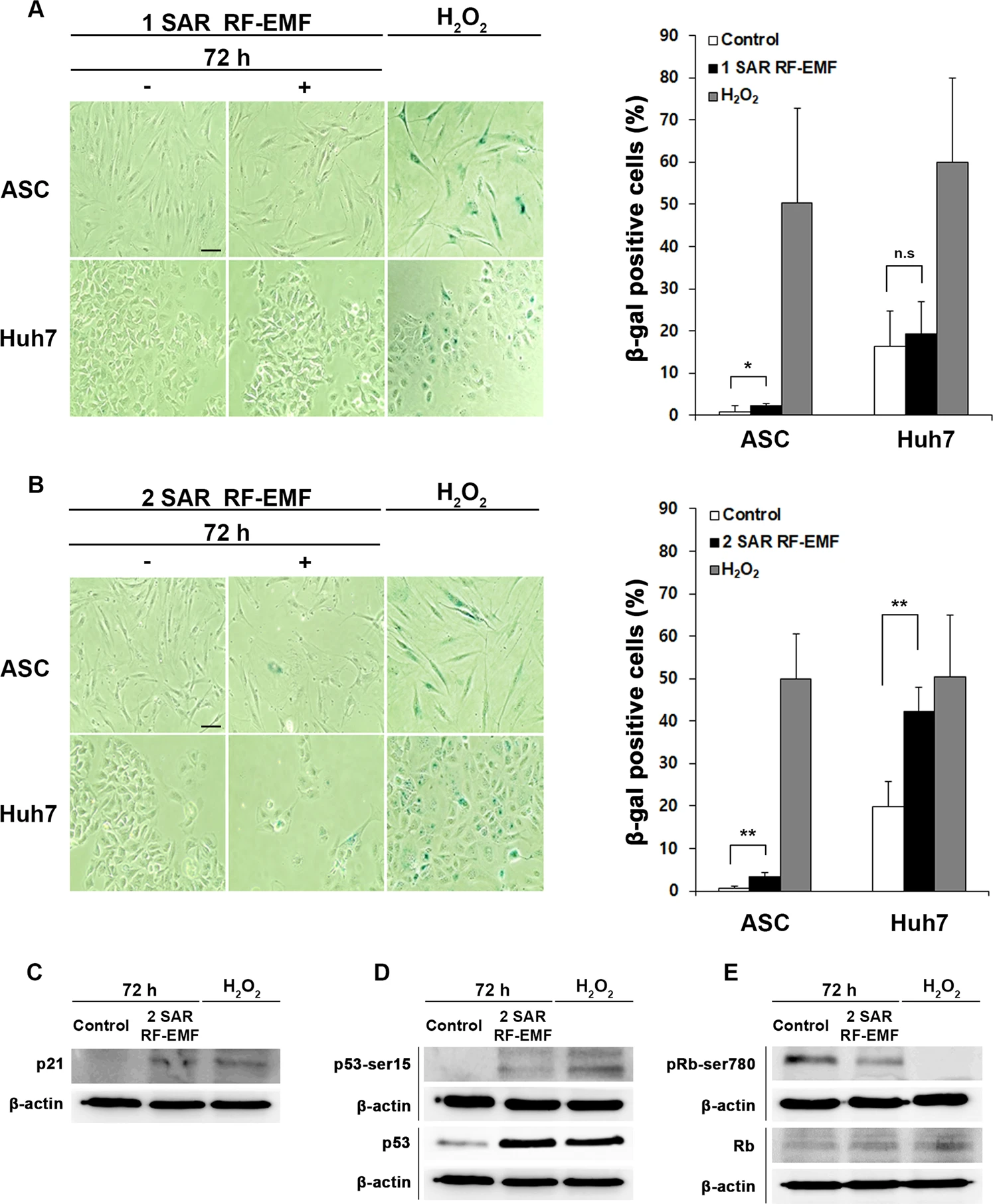 https://media.springernature.com/full/springer-static/image/art%3A10.1038%2Fs41598-020-65732-4/MediaObjects/41598_2020_65732_Fig6_HTML.png?as=webp