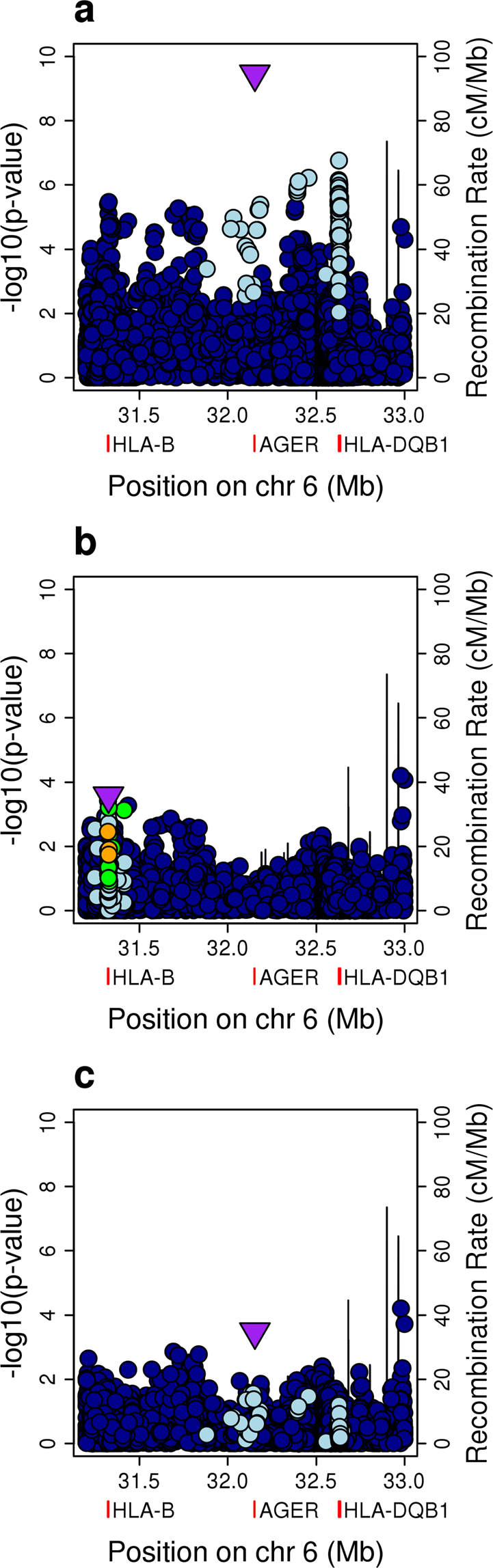 The Human Leukocyte Antigen Locus and Rheumatic Heart Disease  Susceptibility in South Asians and Europeans | Scientific Reports