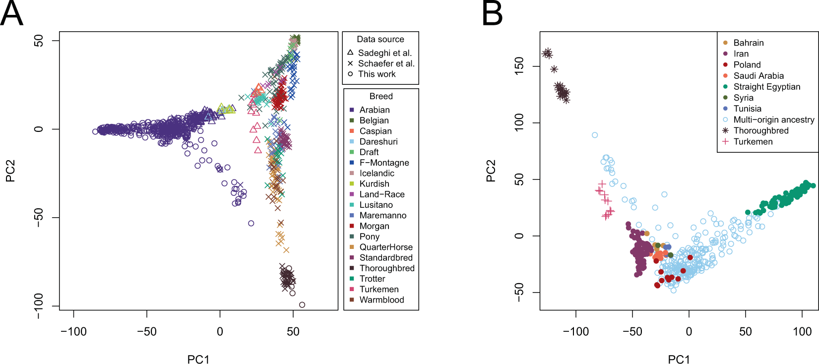 Genome Diversity And The Origin Of The Arabian Horse Scientific Reports