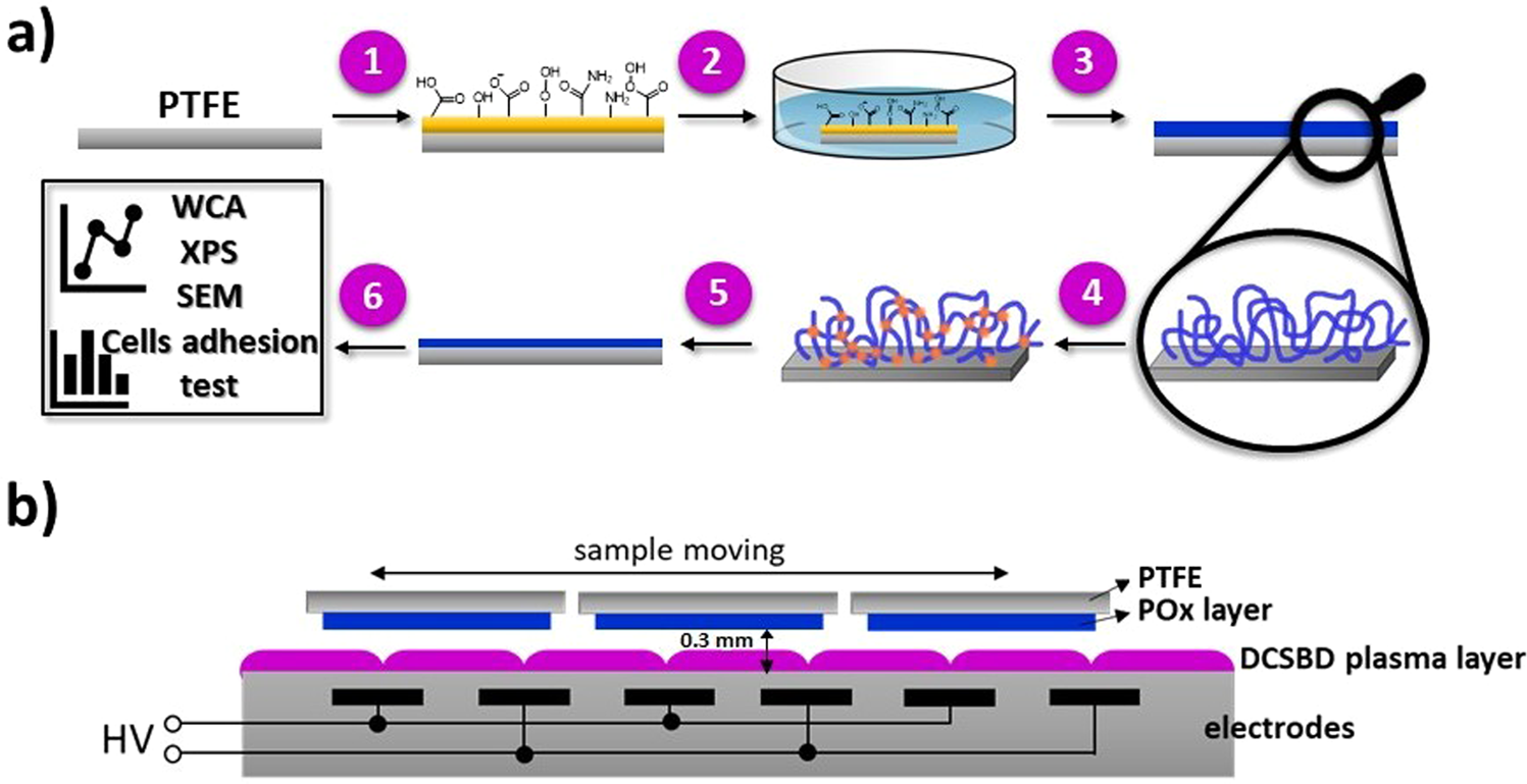 Synthesis and texturization processes of (super)-hydrophobic fluorinated  surfaces by atmospheric plasma, Journal of Materials Research