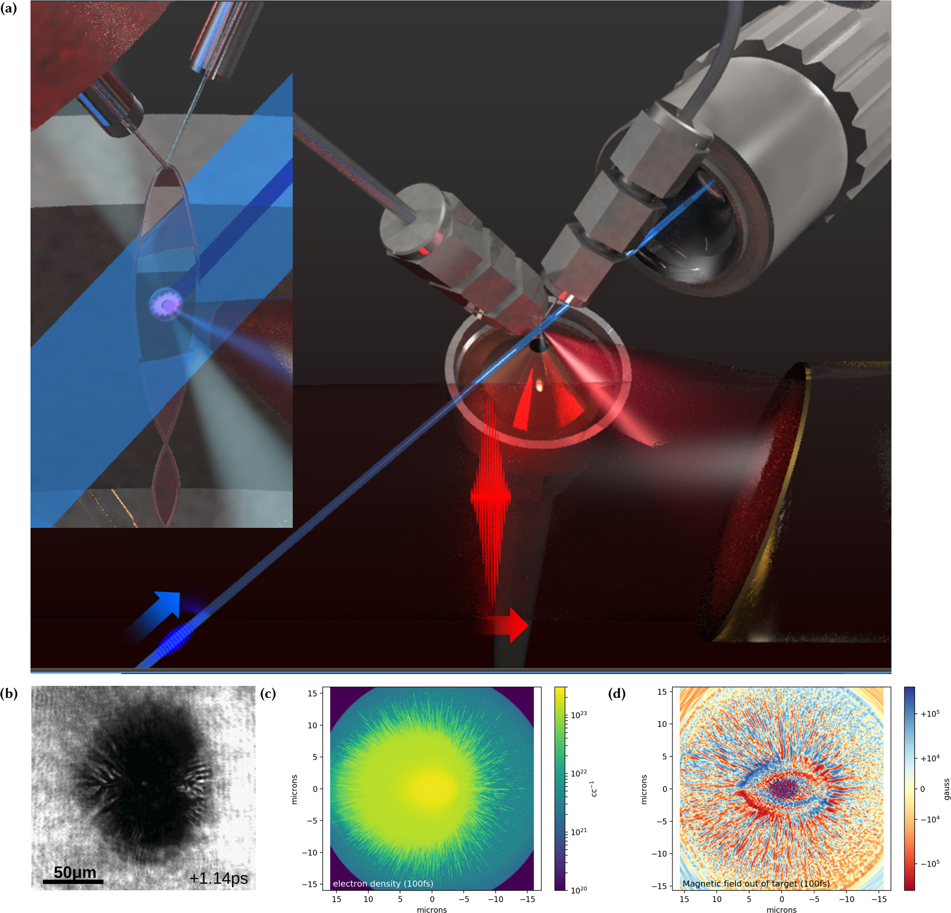 Evidence of radial Weibel instability in relativistic intensity  laser-plasma interactions inside a sub-micron thick liquid target |  Scientific Reports
