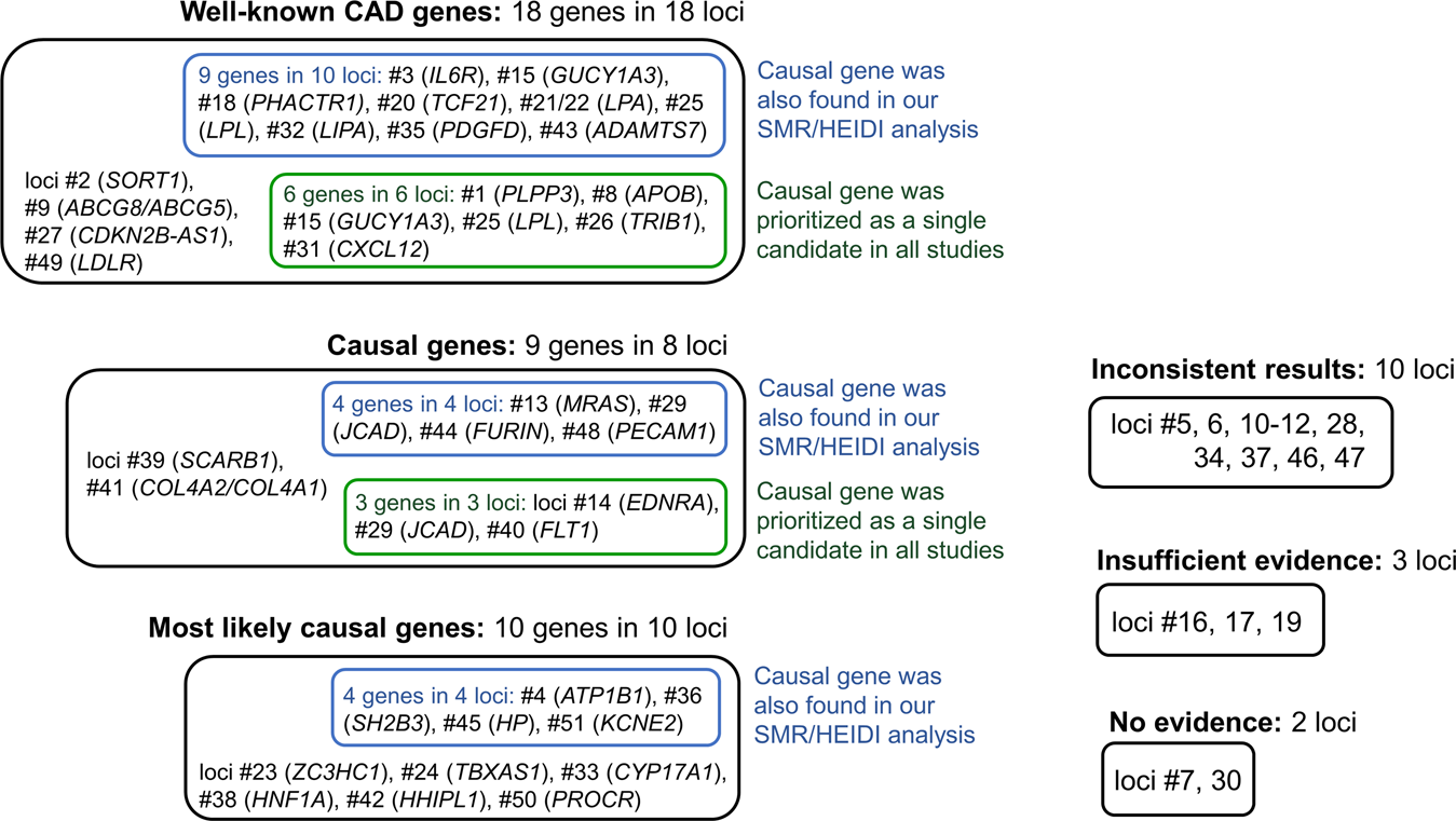 Prioritization of causal genes for coronary artery disease based on  cumulative evidence from experimental and in silico studies | Scientific  Reports
