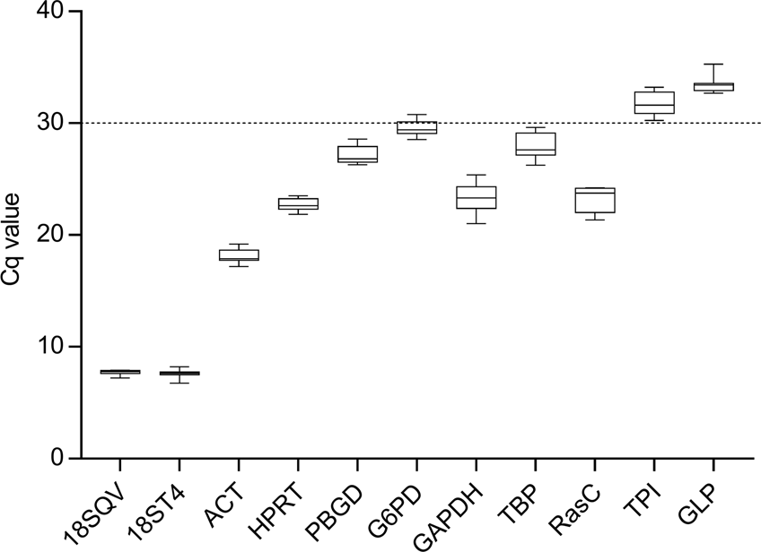 Validation of reference genes for the normalization of RT-qPCR gene  expression in Acanthamoeba spp. | Scientific Reports