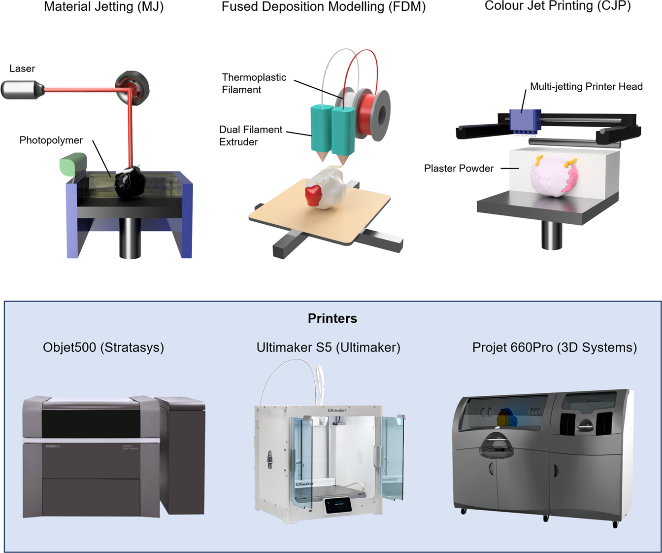 Multi-colour extrusion fused deposition modelling: a low-cost 3D printing  method for anatomical prostate cancer models | Scientific Reports