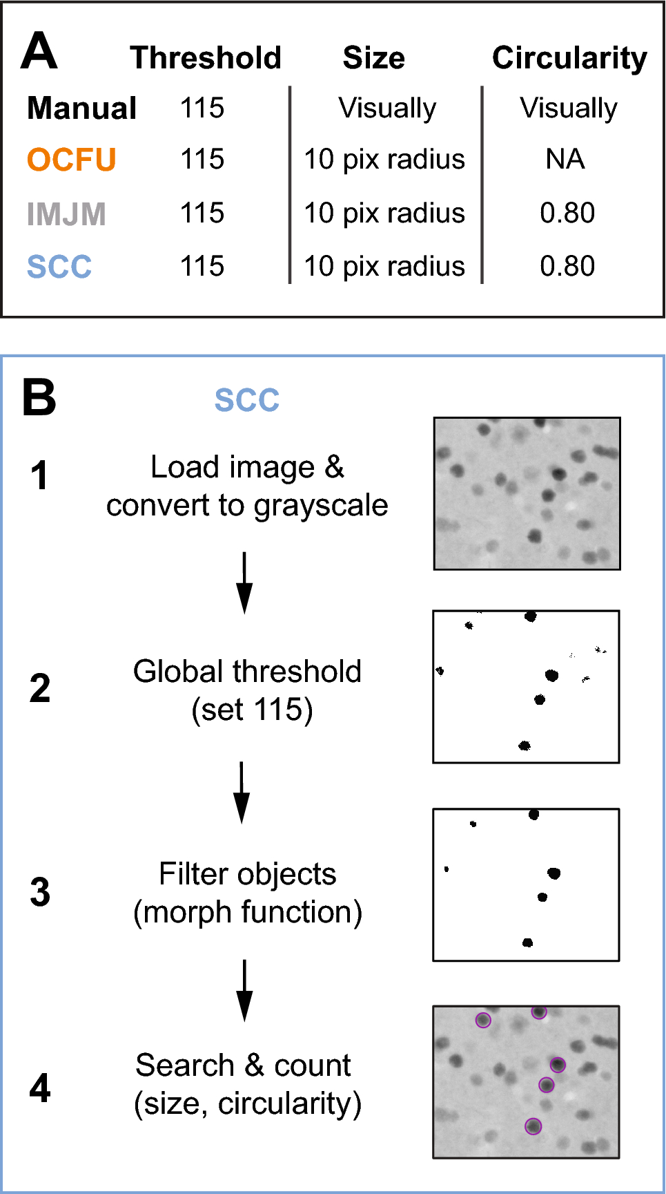 SimpylCellCounter: an automated solution for quantifying cells in brain  tissue | Scientific Reports