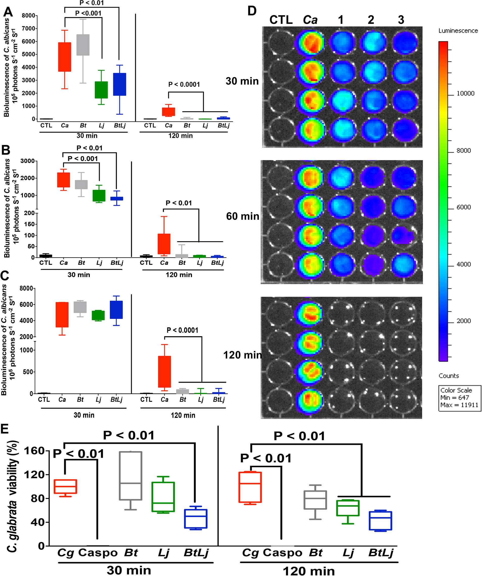 Bacteroides thetaiotaomicron and Lactobacillus johnsonii modulate  intestinal inflammation and eliminate fungi via enzymatic hydrolysis of the  fungal cell wall | Scientific Reports
