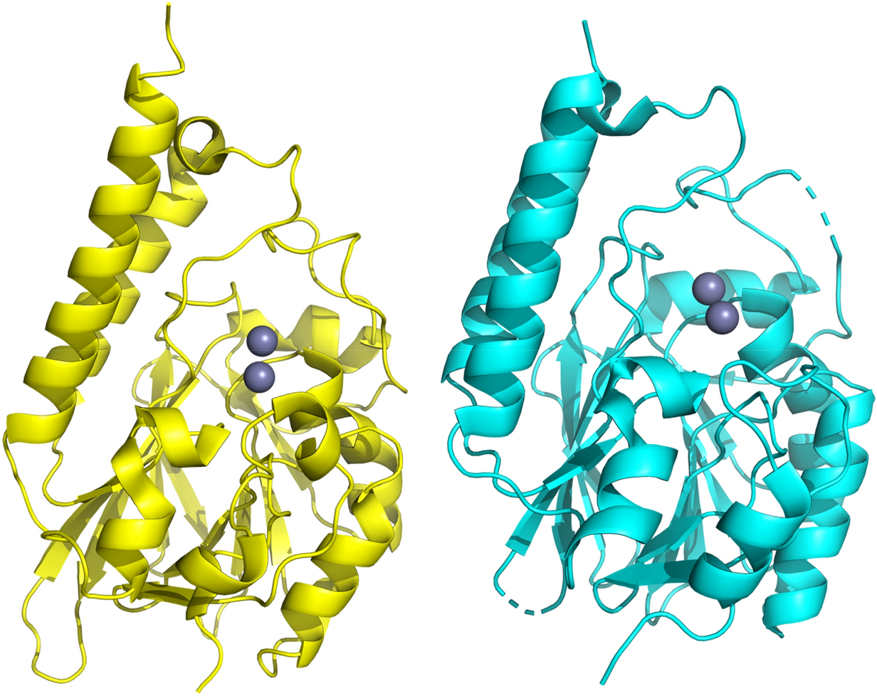 PDF) Structural and Biochemical Characterization of AaL, a Quorum
