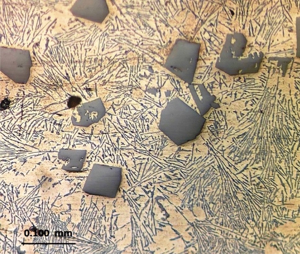 Gematigd Omtrek baai Developing of nano sized fibrous eutectic silicon in hypereutectic Al–Si alloy by laser remelting | Scientific Reports Gematigd Omtrek baai Developing of nano sized fibrous eutectic silicon in hypereutectic Al–Si alloy by laser remelting | Scientific Reports
